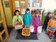 Sklízíme úrodu na zahrádce